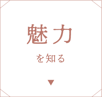  魅力を知る
