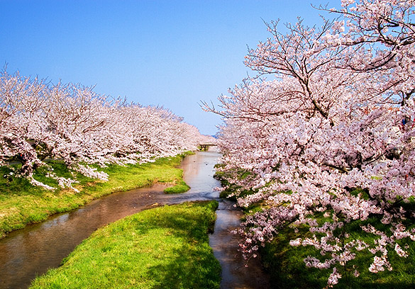 Hoshino Resorts KAI Izumo